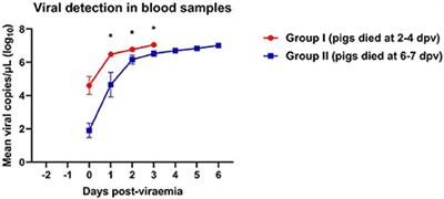 Blood parameters and pathological lesions in pigs experimentally infected with Vietnam's first isolated African swine fever virus